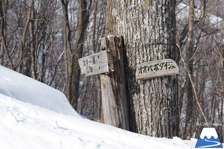 新得町・新得山スキー場 記録的な大雪でスキー場開設以来、最大積雪に到達?!